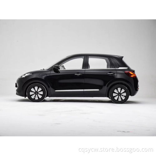 Swing Door Pickup Truck Wuling Bingguo 2023 333km الفرح استمتع بملاح